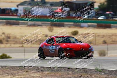 media/Mar-08-2025-Extreme Speed (Sat) [[4abb97269e]]/Purple/Turns 2  and  4 (Session 2)/